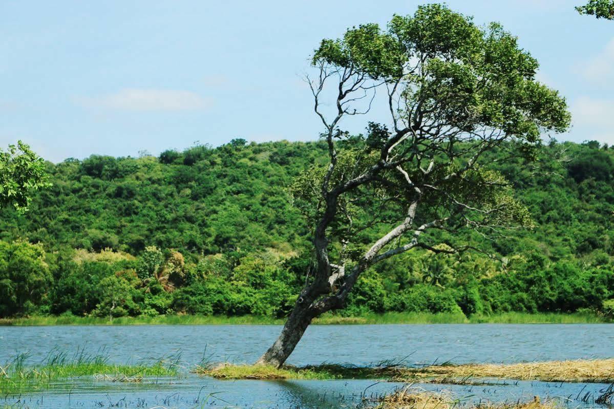 Athena Lake By Seedevi Dambulla Extérieur photo